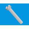 Slotted cheese head screw [536] (536030000002)
